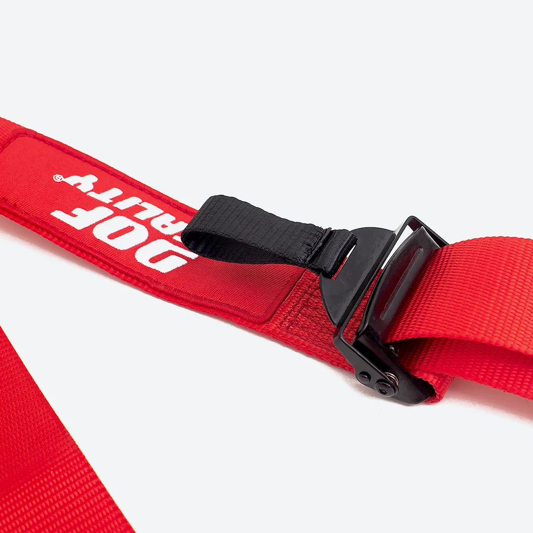 DOF Reality 4-Point Racing Harness (IQ-4PH) - view 4